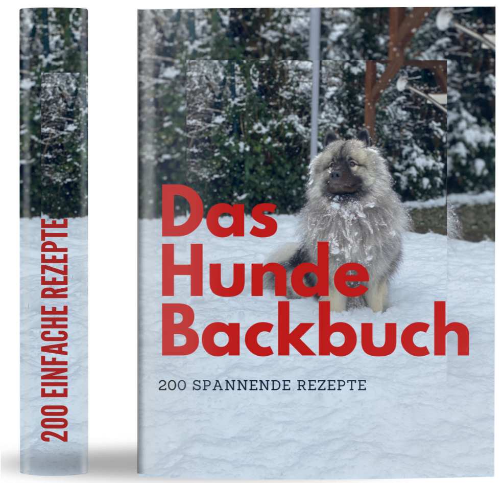 Belltique´s Backbuch