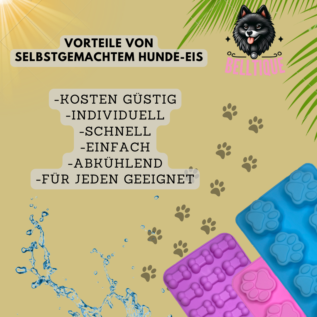 Belltique’s DIY Set mit Buch